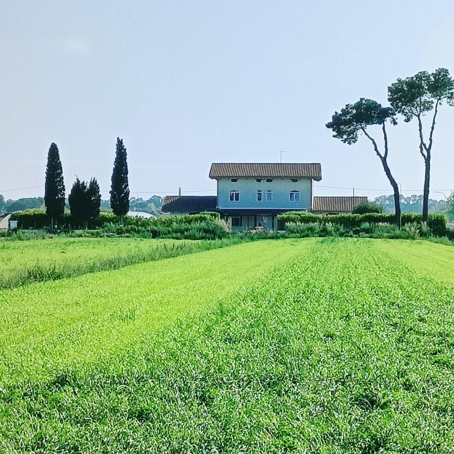 La Ricarda Dimora Di Campagna Bed & Breakfast Paestum Bagian luar foto