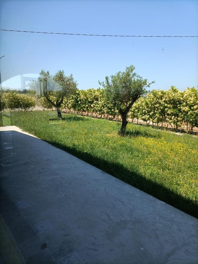 La Ricarda Dimora Di Campagna Bed & Breakfast Paestum Bagian luar foto