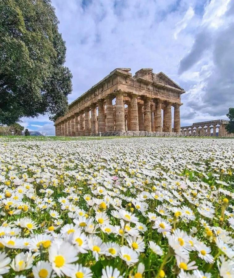La Ricarda Dimora Di Campagna Bed & Breakfast Paestum Bagian luar foto